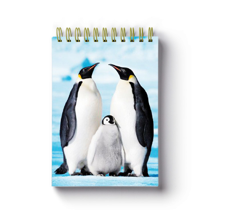 Sea Animal Image Custom Printed Spiral Notebooks 3D Cover High Definition