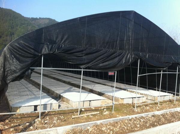 Quality Custom Black Plastic Sun Shade Net For And Agricultural And Vegetable for sale
