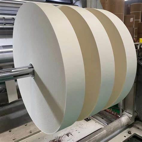 100% Wood Pulp Raw Material Paper Cup Bottom Roll For Making PE Coated Paper