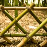 Eco Friendly 3 Inch Moso Bamboo Pole Bamboo Stakes For Plant Decoration Yellow