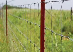 Wholesale Hot Dipped Galvanized Fixed Knot Sheep Farm Fence Of Steel Wire Mesh from china suppliers