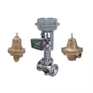 Wholesale Single-Seated Globe Control Valve Used For Chemical/Pharmaceutical Industries Drive By Pneumatic Or Electric from china suppliers