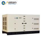 Silent Natural Gas Generator Biogas Generator as Back up Power