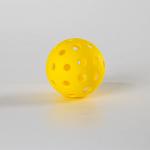 PE Integrated Seamless Indoor And Outdoor Pickleballs Elastic TPE Pickleball
