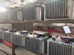 Industrial 30KW food flower seeds fruit tunnel microwave dryer drying machine