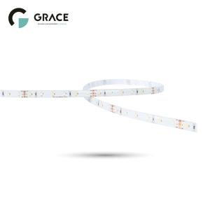 Wholesale Smart LED Strip CCT Wi-Fi +Bluetooth from china suppliers