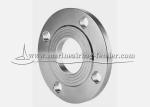 Stainless Steel Threaded Pipe Flange Corrosion Resistant For Piping Systems