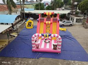 Wholesale Candy World Pink Style Inflatable Slides For Rental Event Party from china suppliers