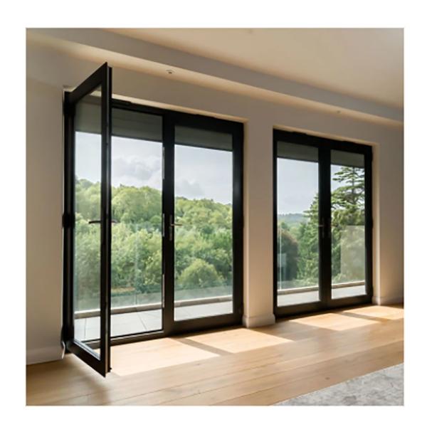 10 Sealing Layers Skate Exterior French Thermal Break Casement Doors with