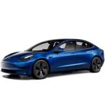 Electric Vehicle Tesla Model 3 New Adult Electric Cars For Sale new energy