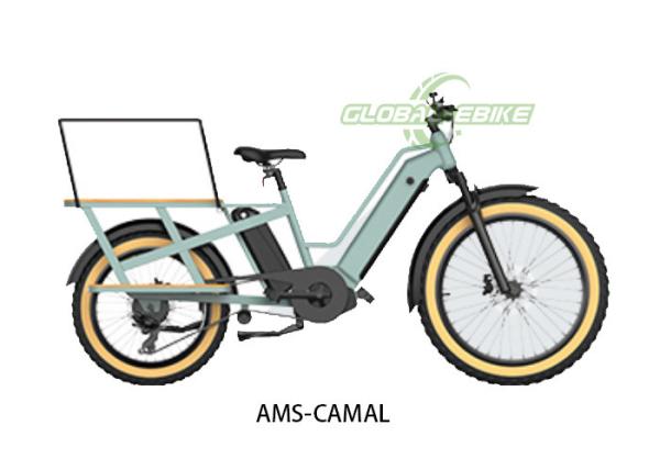 Green Lithium Battery ebike cargo bike With Shimano 7 Speed Derailleur LED Big