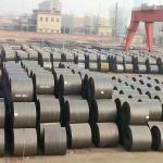 Skin Pass Hot Rolled Coil Plate 20mm X 2mm For Construction / Bridges
