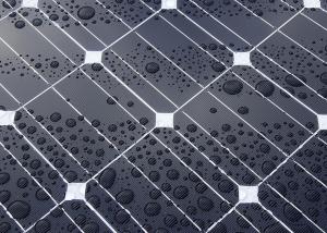 Wholesale Hardness 1000 Voltage Silicon Solar Panels , 300 Watt Solar Panel SN-M300 DC from china suppliers