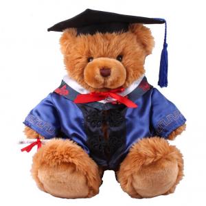 China 18 Inch Doctor Graduation Teddy Bear Stuffed Soft Plush Toys For Collection Celebration on sale