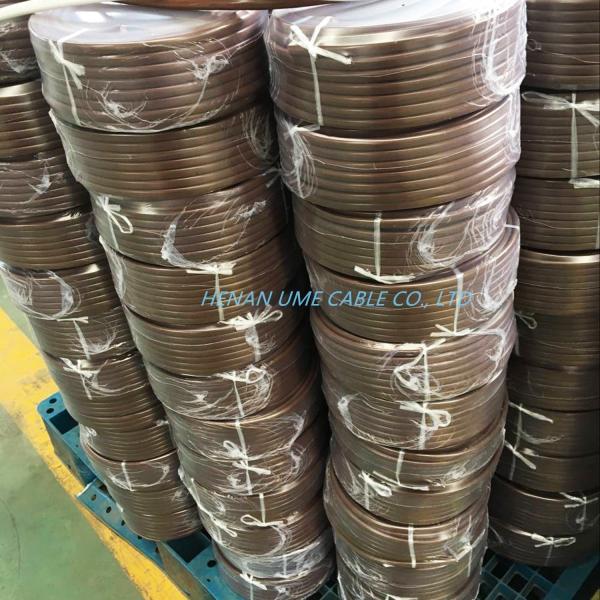 BVVB E Twin Earth Electric Cable Solid/Stranded Copper Twin and Earth Sheath