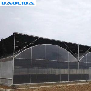 Wholesale Multi Span Mental Pipe Plastic Tomato Greenhouse Doom For Agriculture from china suppliers