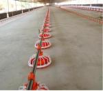 Drip Cup 4mm Automatic Drinking System For Poultry House Accessories