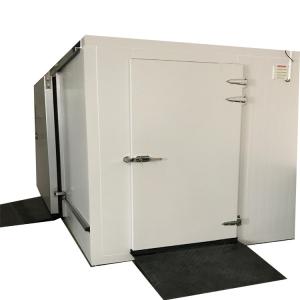 Wholesale Temperature -10-0C Cool Room Negative -25c Degree Celsius as Per Your Requirements from china suppliers