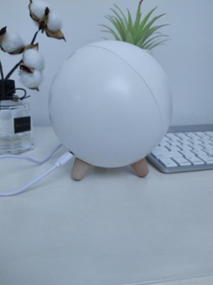 Atmosphere Touch Induction Dimming Children Table Lamp USB Charging Cartoon LED Battery Lighting and Circuitry Design Room EMC