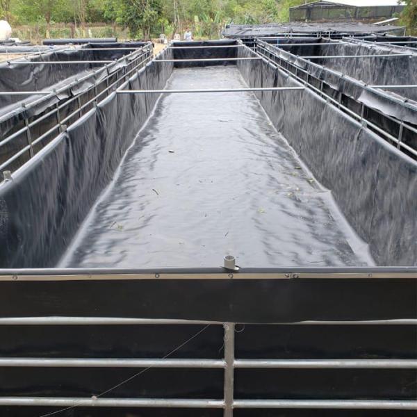 80mil 2mm Thickness Mining HDPE Geomembrane Liner Waterproof And Anti-Seepage Membrane