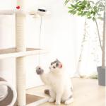 Interactive Electronic Auto Lift Ball Cat Pet Toys Funny Stick Cat Teaser Toy