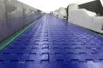 Good Price Tilapia Grader Tilapia Sorter Tilapia Sizter Tilapia Classify From