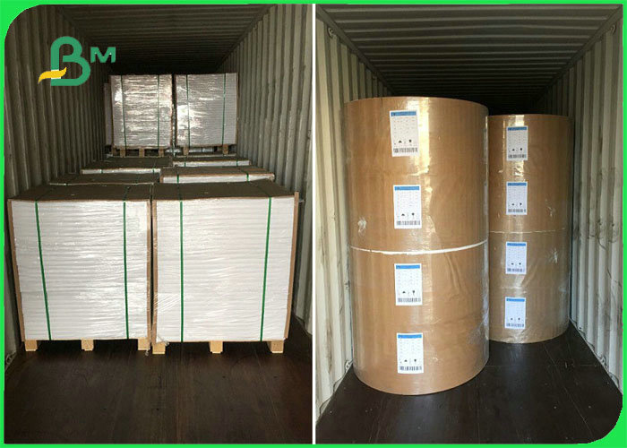 Greaseproof 100gsm 120gsm 150gsm + 10g PE Coated Paper For Packing Food