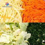 Gastronomic Guava Fruit Processing Machine 10mm Slice Vegetable Potato Chips