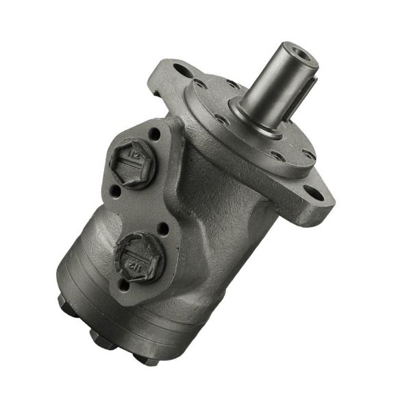 BMRS 36 Dannfoss Hydraulic Orbit Motor use for Construction machinery
