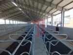 Easy Install Modern Cattle Shed , Prefabricated Metal Farm Barns