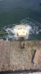 Sea Shells Collection ROV,Underwater Inspection ROV VVL-T1100-6T 4*700 tvl