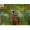 Buy cheap Heavy Duty Plastic Vegetable Garden Mesh Netting , PP Black Anti Bird Netting from wholesalers