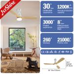 LED Light Source Wooden Blades Optional Smart Remote Ceiling Fan for Home Office