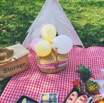 Handmade Natural Willow Wicker Picnic Basket Cheap Lunch Bags Hot sale products