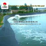 0.3mm 0.5mm 0.75mm 1.0mm 1.5mm HDPE Geomembrane liners Top- for Aquaculture Fish