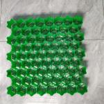 Distribute Loading HDPE PE Grid Plastic Grass Paver for Driveway Gravel