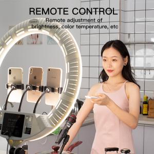 Wholesale 100W ring lamp FS-640II ring lamp fill light for makeup video live studio Youtuber Vlog Fill eyelash artist Beauty from china suppliers