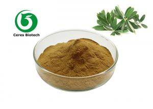 Wholesale Natural Herbal 10% - 80% Olive Leaf Extract Powder Oleuropein from china suppliers
