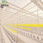 Glass Green House for Plant Tomato and Leaves JX-Glass Span 8m 9.6m 12m