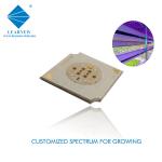 Full Spectrum Grow Light LED COB 4W 12-18 Umol/s DC23-26V 0.17A for Indoor Plant