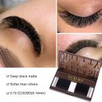 Premade Easy Faning Volume Lashes 8-15mm Naturally Soft Dense Fake Eyelashes 12