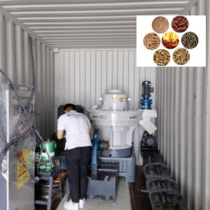 Wholesale Large Capacity Biomass Pellet Production Line Fuel Straw Pellet Making Machine from china suppliers