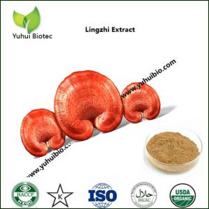 China lucid ganoderma extract,reishi extract 20:1,duanwood reishi mushroom extract powder on sale