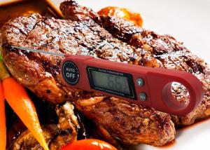 Wholesale Food Grade ABS Plastic Instant Read Meat Thermometer Battery Operated from china suppliers