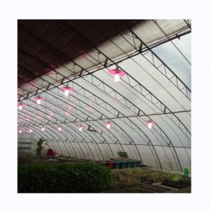 Wholesale Full Ventilated Film Covered Polyethylene Three Earth Wall Greenhouse for Winter Season from china suppliers
