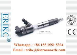 Wholesale ERIKC 0445110481 Diesel Fuel Injector Bosch 0 445 110 481 Auto engien parts injection 0445 110 481 from china suppliers