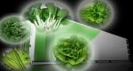 Shipping Container Greenhouse for Growing Leafy Greens in 40HQ Reefer Container