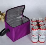 Portable Ice Cooler Bag 6 Packs Bottle , Wine Ice Pack For Cooling Beer Juice