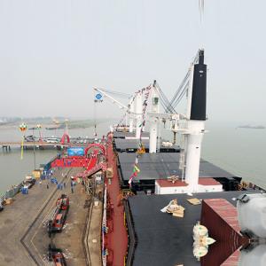 Wholesale 200 Ton Deck Davit Marine Hydraulic Crane For Harour 50m Height from china suppliers