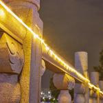 SMD 5050 LED Solar Strip Light , IP67 Flexible Decorative Rope Lights 3500K